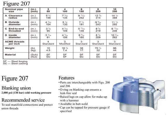 fig 207